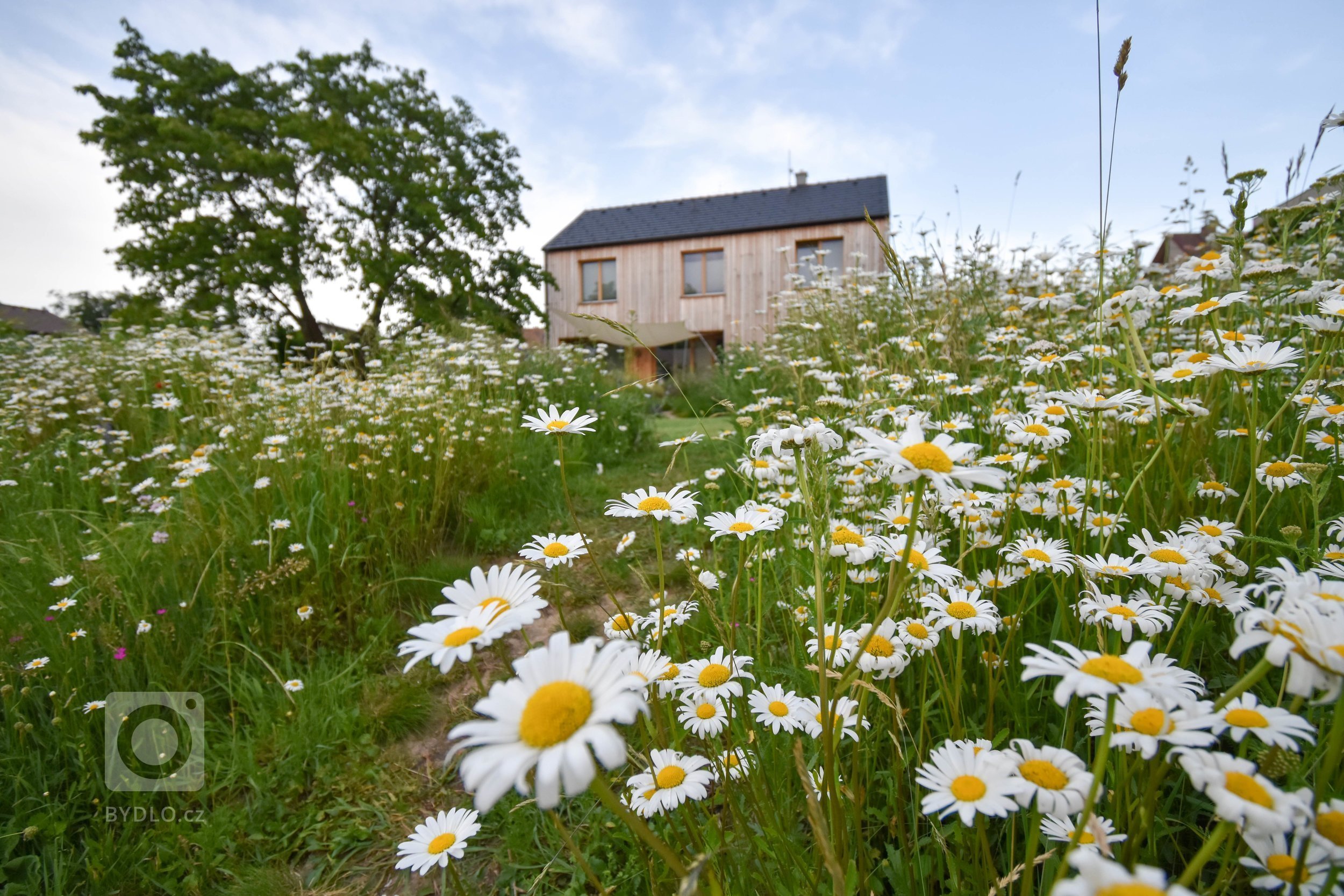 Další zahradou ze &bdquo;série&ldquo; přírodních zahrad je venkovská zahrada na Benešovsku.

Jak ji co nejlépe popsat?

Vzhled tohoto domu i zahrady pro…