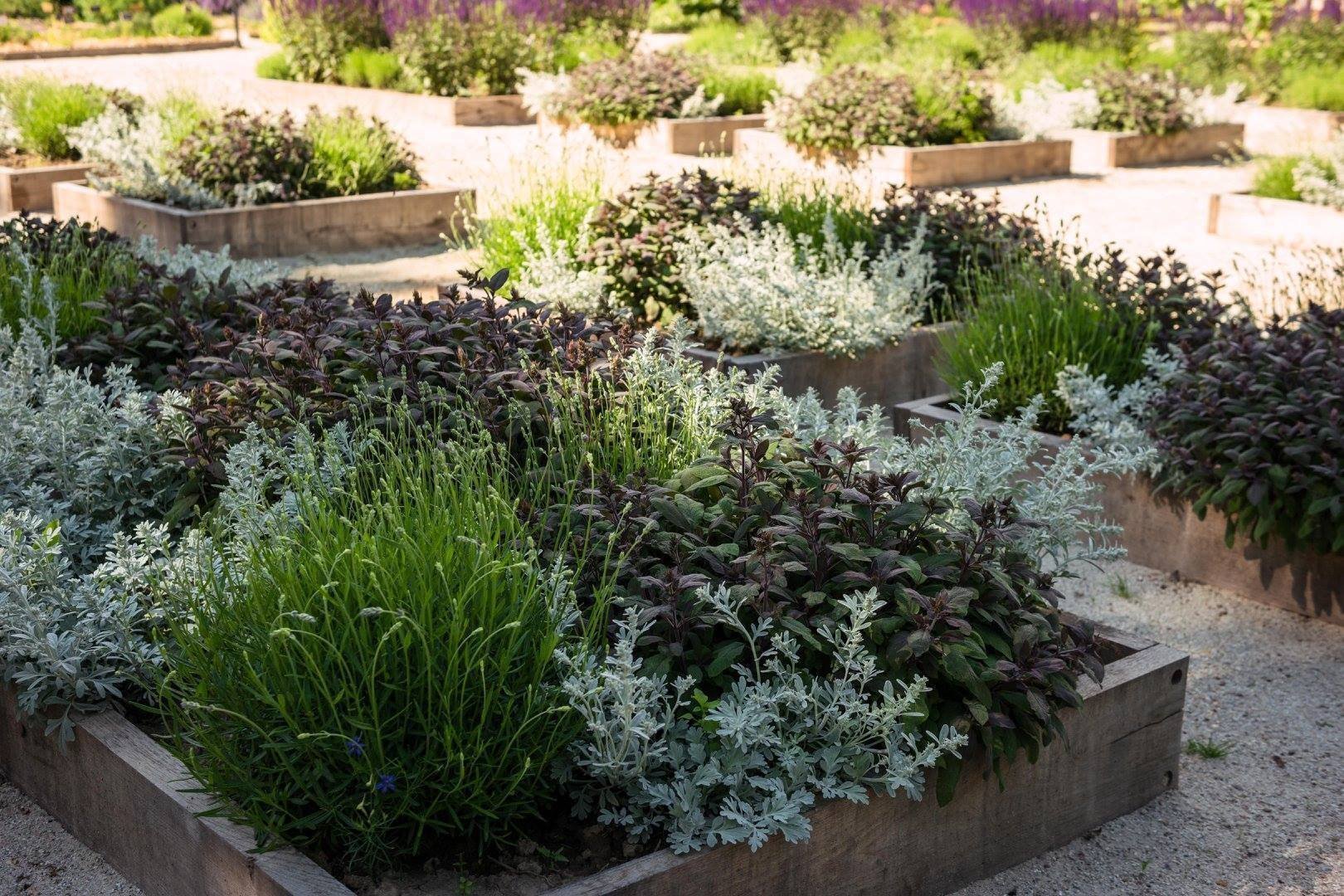 Jak na bylinkovou zahrádku? Klasicky, nebo od lesa?