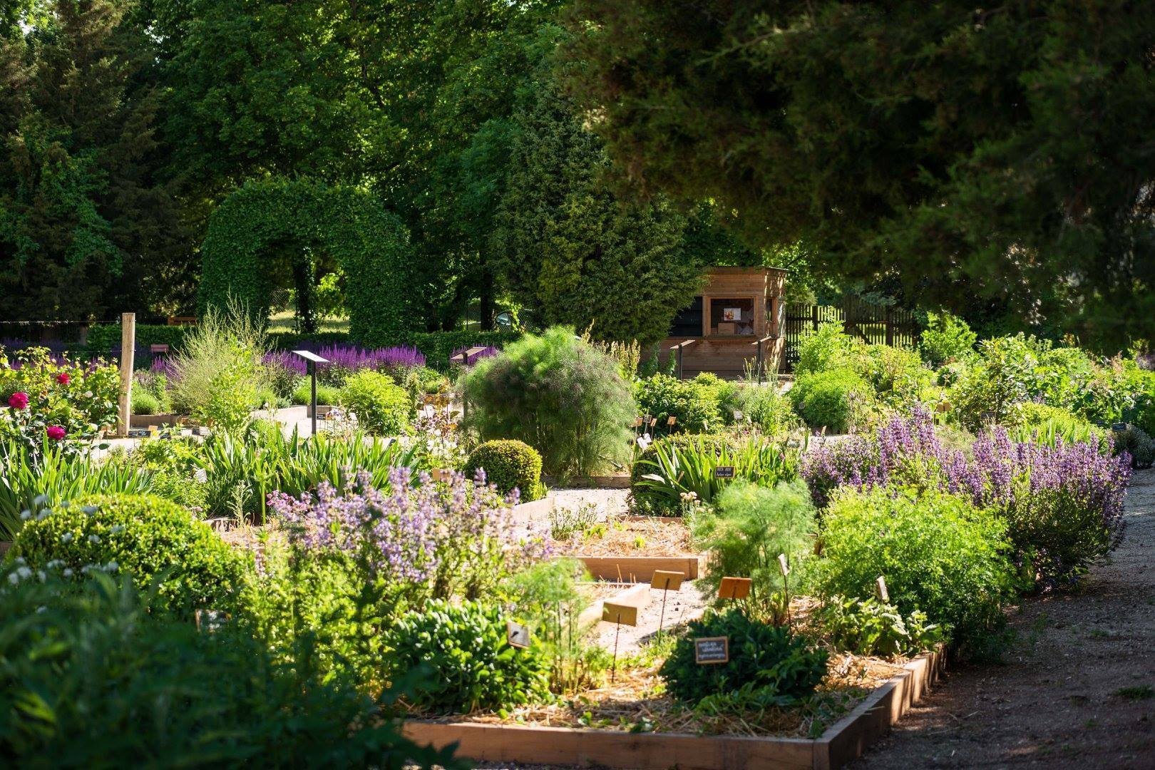 Jak na bylinkovou zahrádku? Klasicky, nebo od lesa?