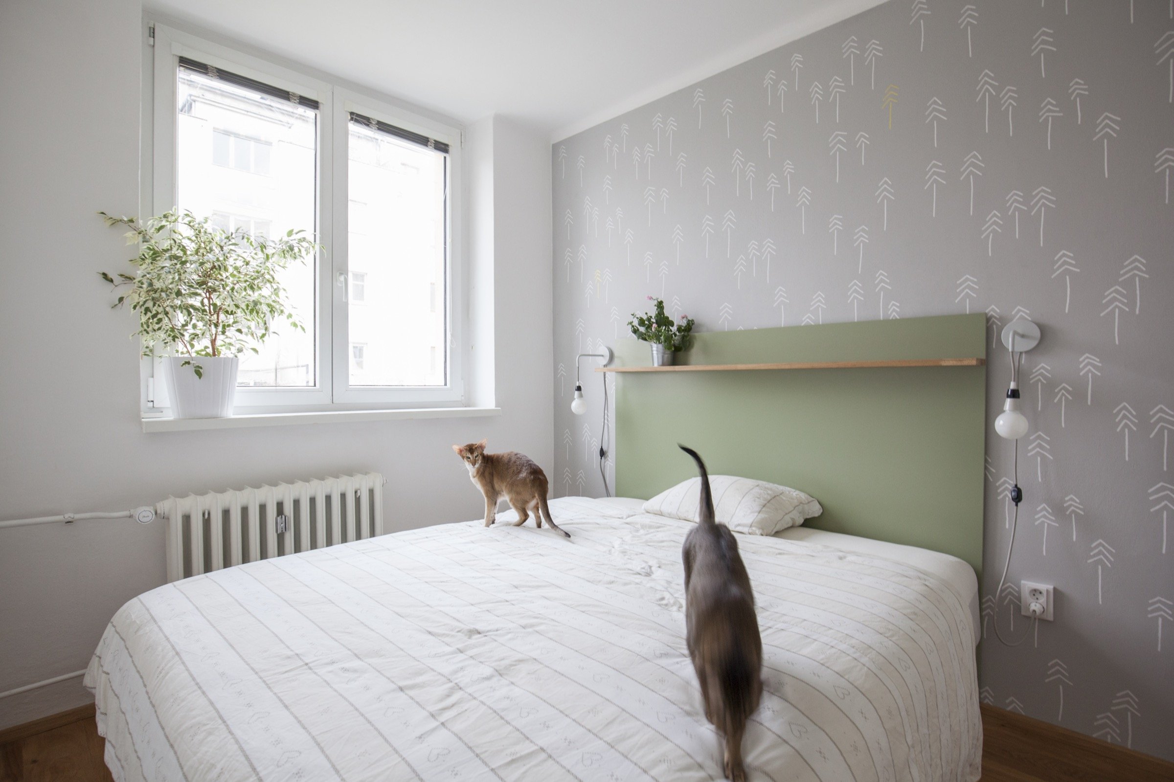 Kočičí byt v Dejvicích - příjemné bydlení na 38 m²