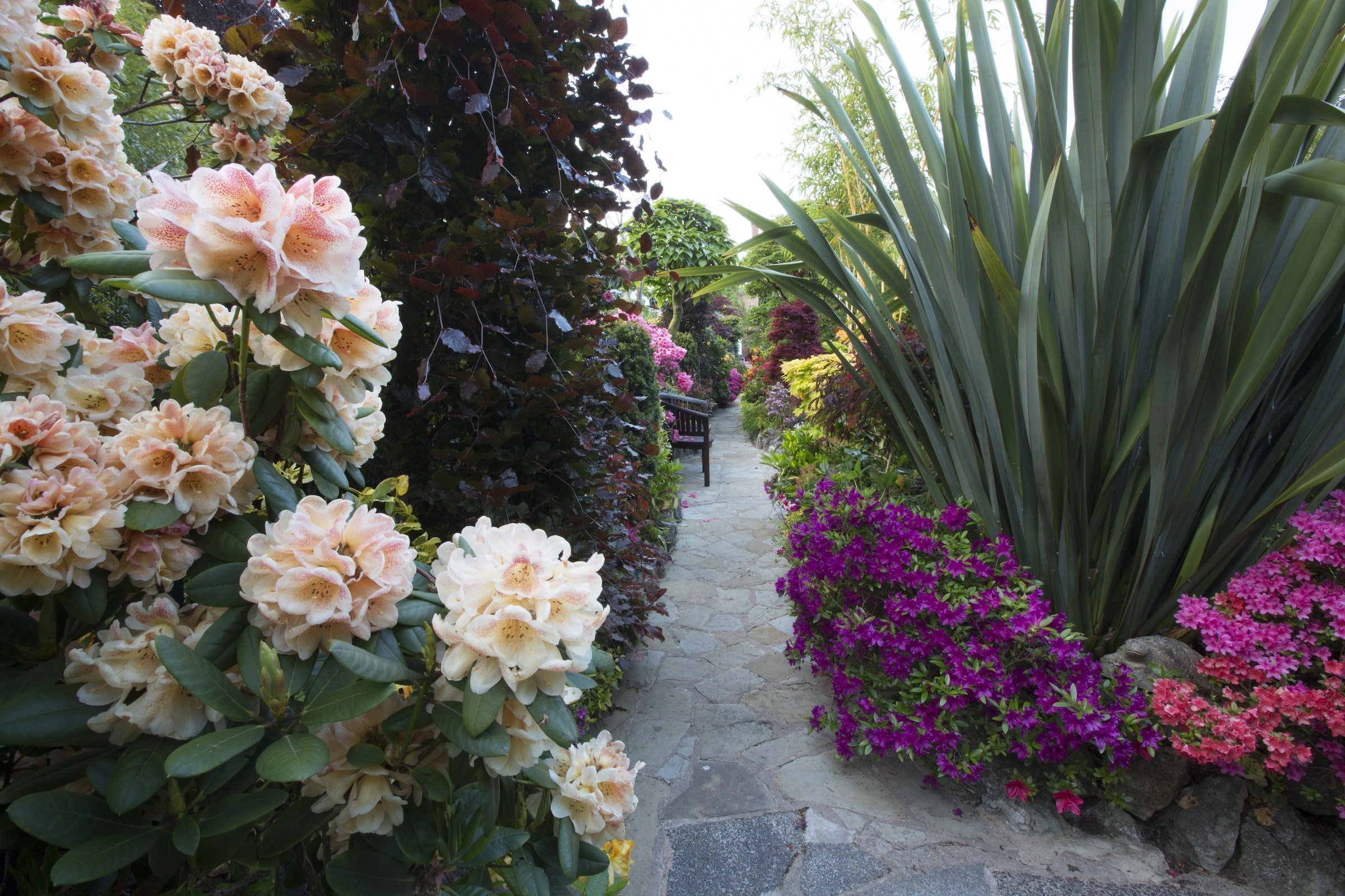 Oceňovaná zahrada hraje všemi odstíny podzimních barev