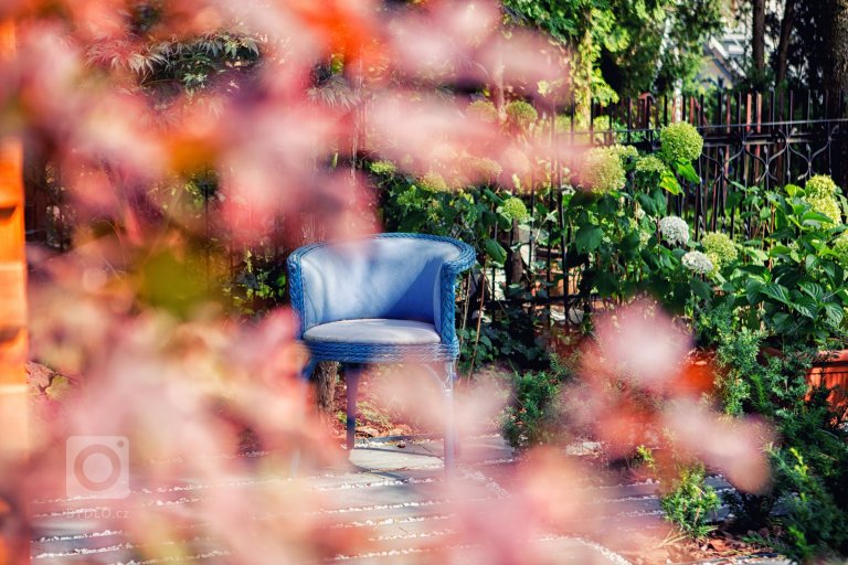 add picture to album