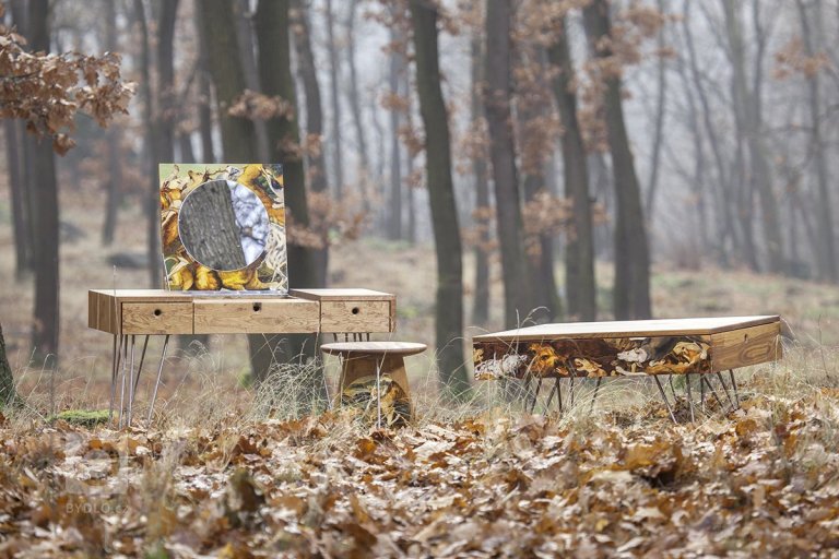 add picture to album