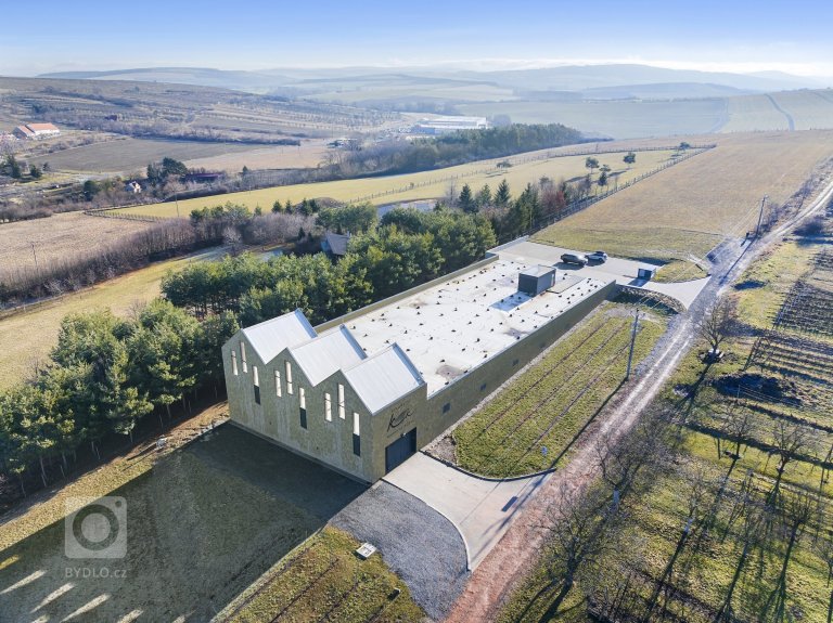 add picture to album