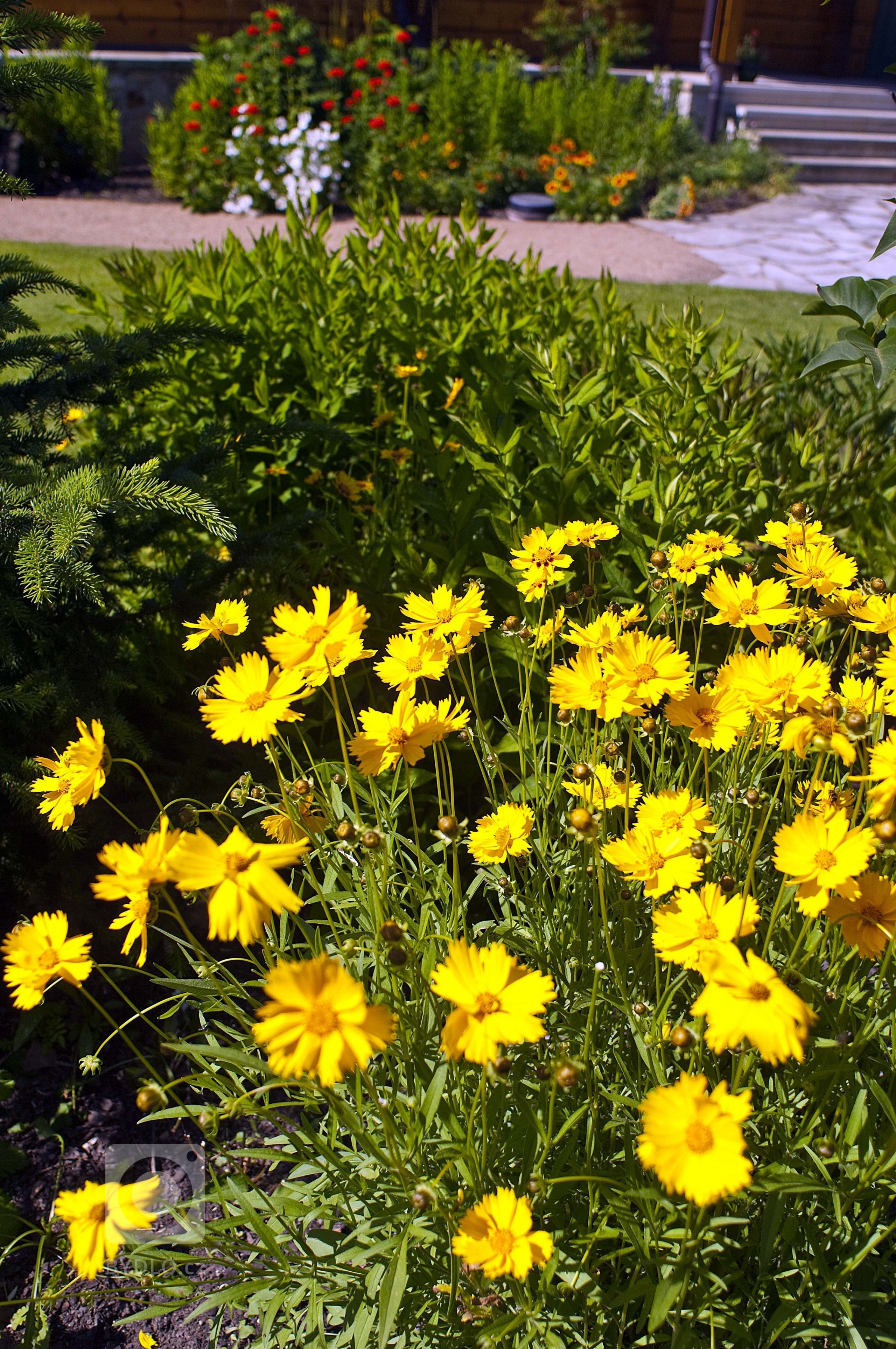 Rekonstrukce zahrady v Klánovicích&nbsp;&nbsp;&nbsp;&nbsp;&nbsp;&nbsp;&nbsp;&nbsp;&nbsp;&nbsp;&nbsp;&nbsp;&nbsp;

&nbsp;

Realizace: jaro 2007

&nbsp;

…