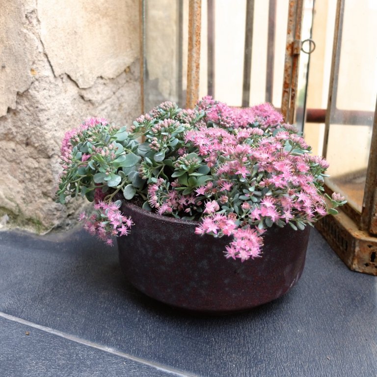 Starý balkon, co znovu ožil
